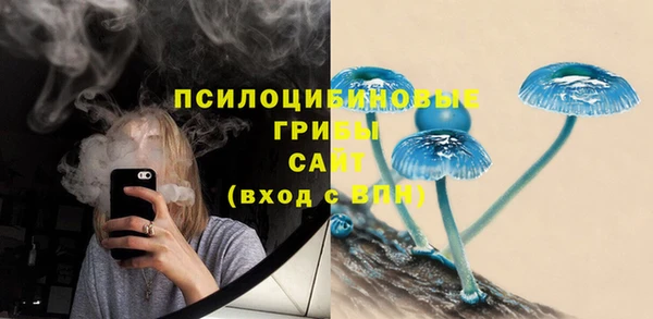 2c-b Касимов