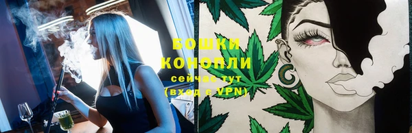 сатива Карталы