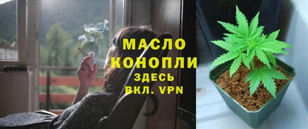 сатива Карталы
