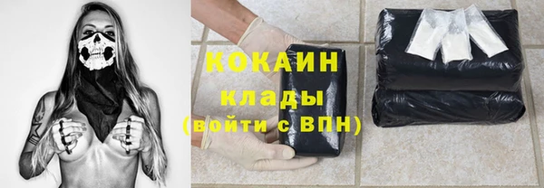 сатива Карталы