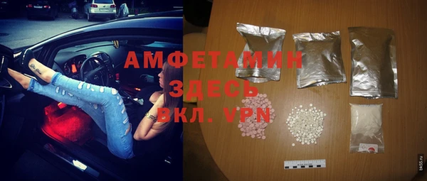гидра Карпинск