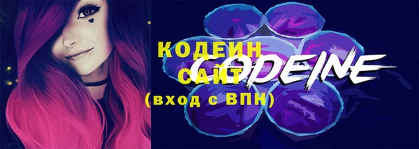 гидра Карпинск