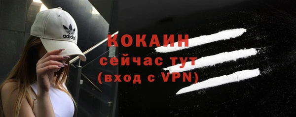 гидра Карпинск