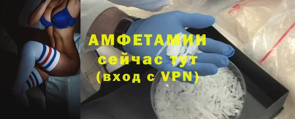 сатива Карталы