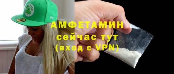 гидра Карпинск