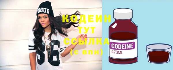 гидра Карпинск