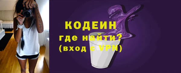 гидра Карпинск