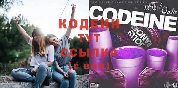 гидра Карпинск