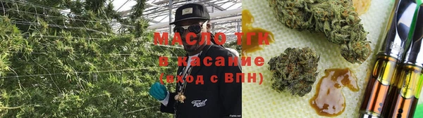 сатива Карталы