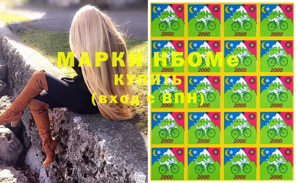 гидра Карпинск