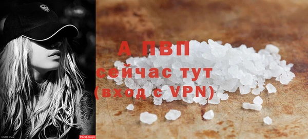 гидра Карпинск