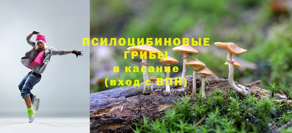 2c-b Касимов