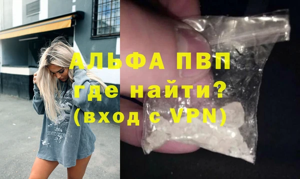 гидра Карпинск