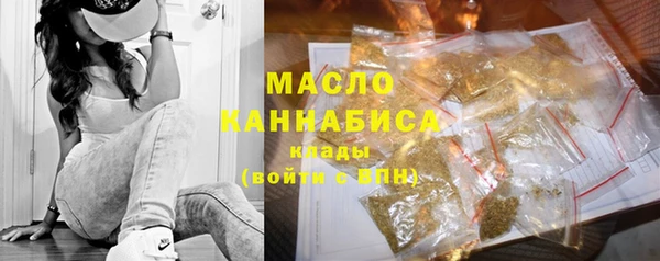 гидра Карпинск