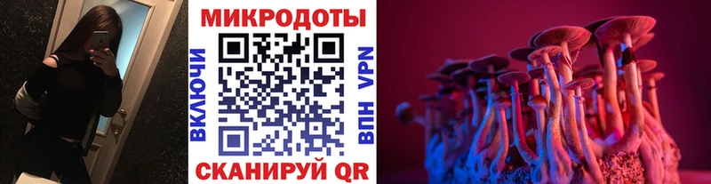 Псилоцибиновые грибы Cubensis Константиновск