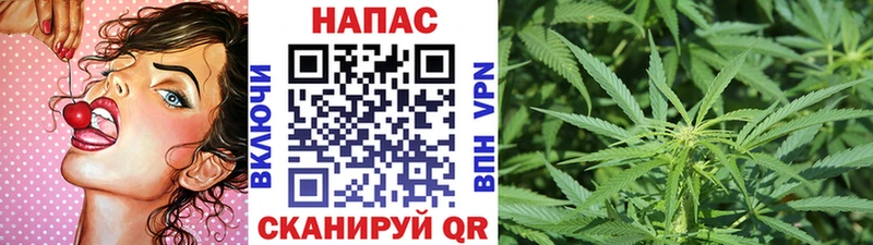 Купить  Константиновск  Канабис VHQ 
